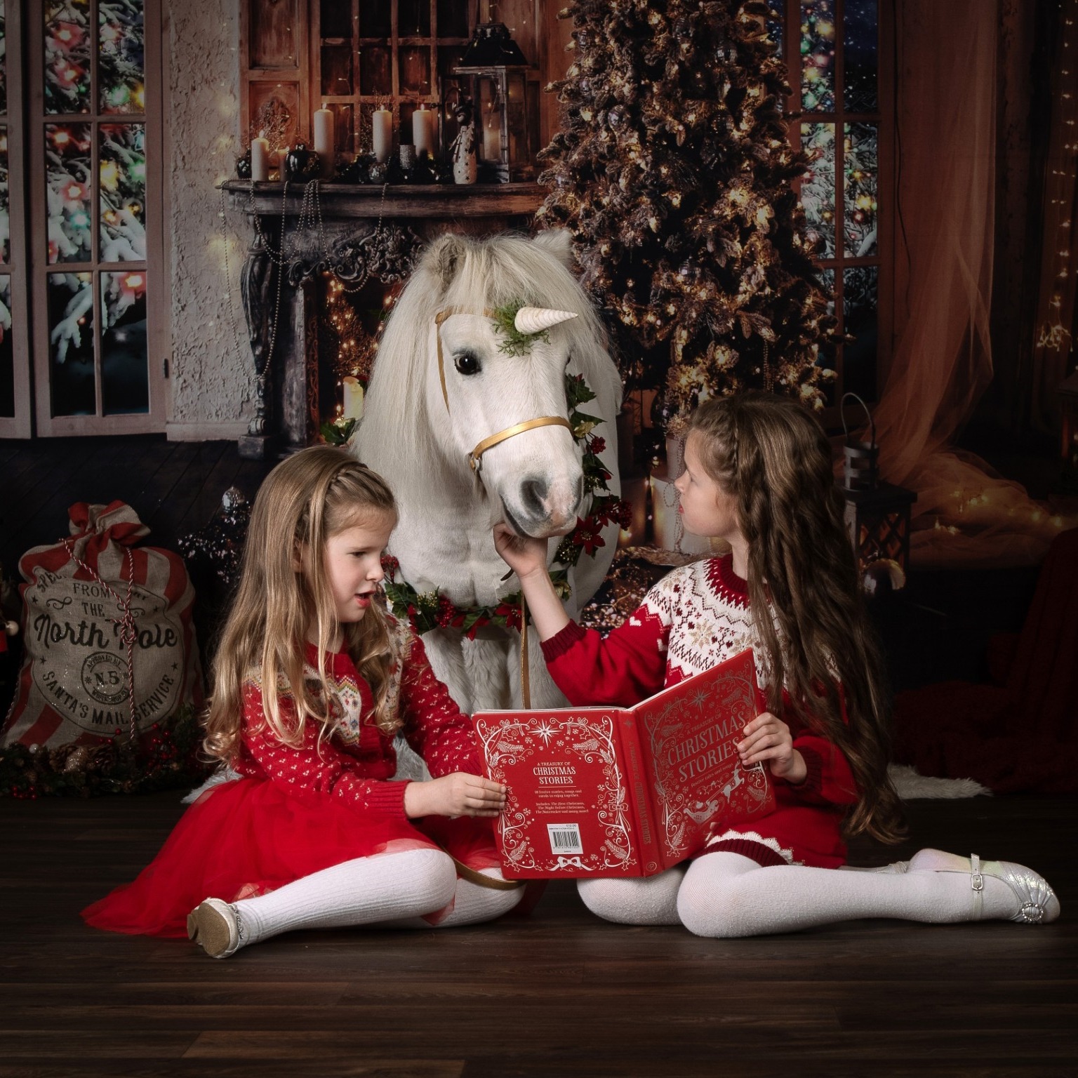 christmas-1 Pumpkin the unicorn - Meeting a unicorn