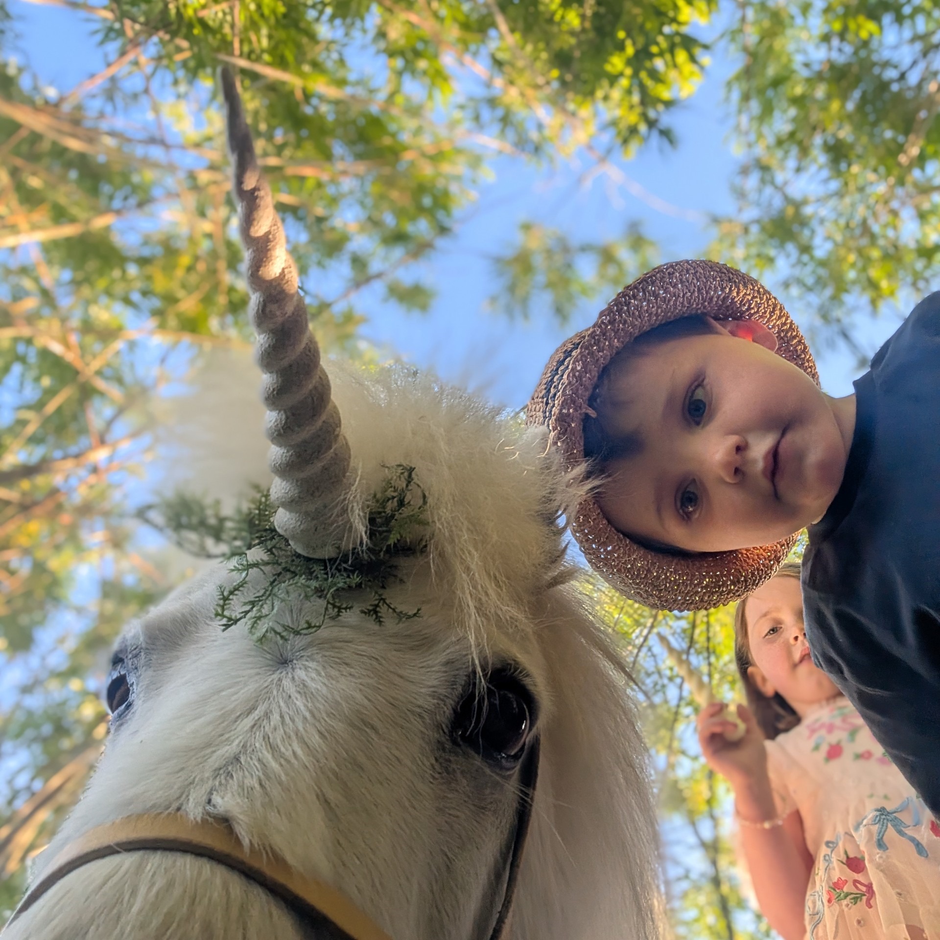 The Unicorn Experience - Costume