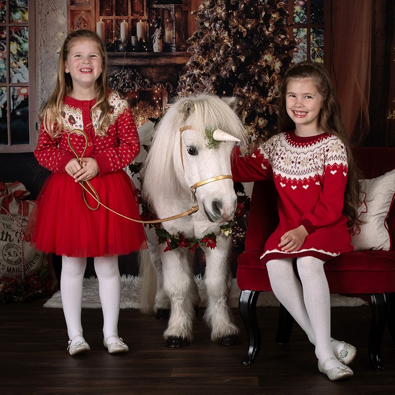 The Unicorn Experience - Costume