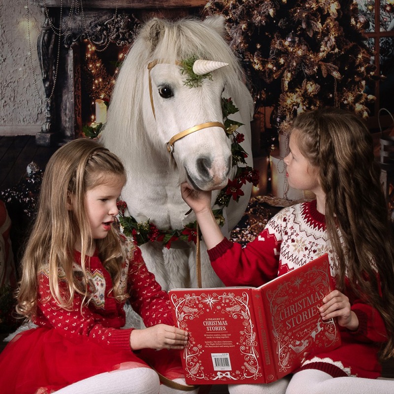 Pumpkin the unicorn - Meeting a unicorn